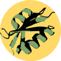 Hyster Lab logo avatar filament