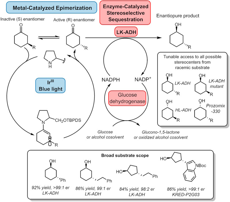 Example enzyme cascade reaction.